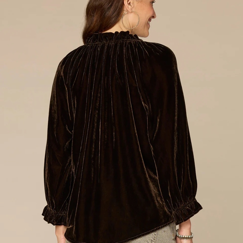 Three Quarter Blouson Sleeve Ruffle V-Neck Embroidered Woven Top - Picture 2 of 4